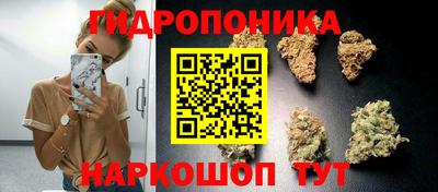 мдма Можга