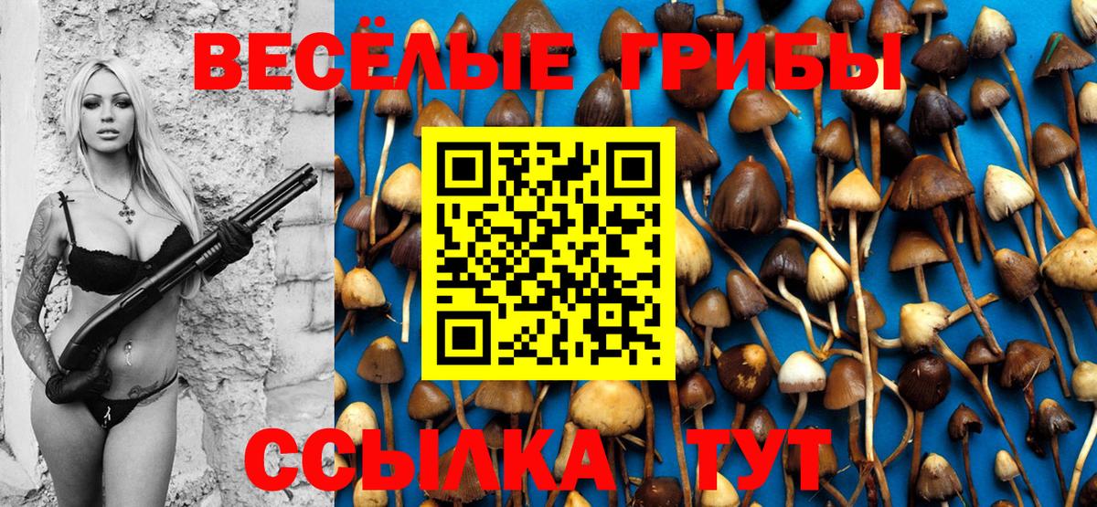 Аксай  магазин продажи   Вход с VPN  Псилоцибиновые грибы Magic Shrooms 