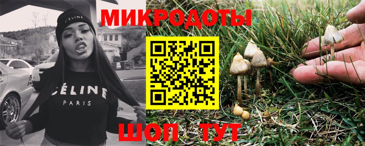 Галлюциногенные грибы GOLDEN TEACHER Аксай